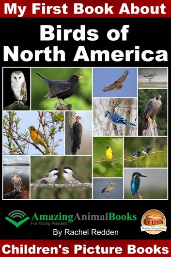My First Book about Birds of North America