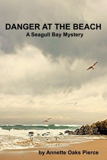 Danger At The Beach (A Seagull Bay Mystery)