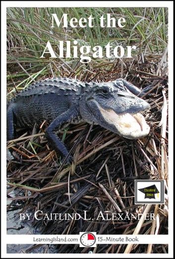 Meet the Alligator: Educational Version