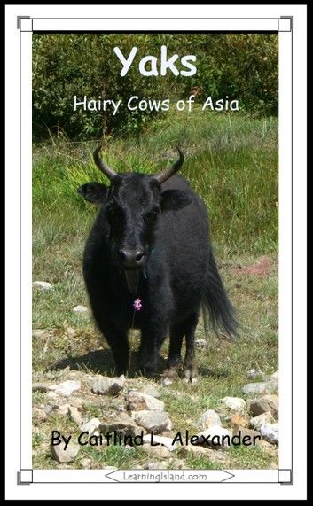 Yaks: Hairy Cows of Asia