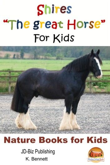 Shires The Great Horse For Kids