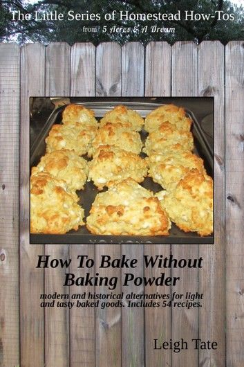 How To Bake Without Baking Powder: Modern and Historical Alternatives for Light and Tasty Baked Goods