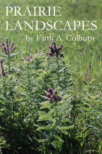 Prairie Landscapes