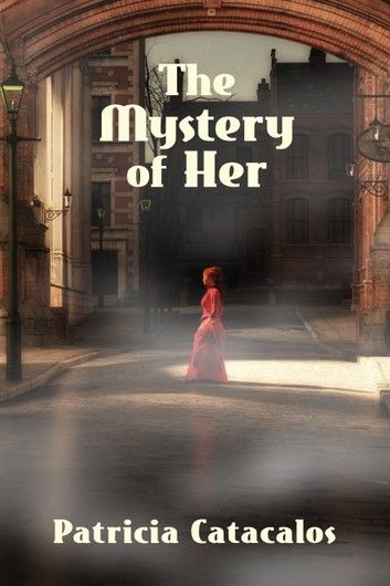 The Mystery of Her: Book 1 in the Zane Brothers Detective Series