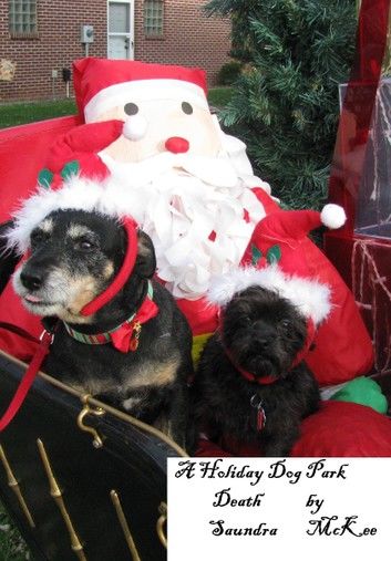 A Holiday Dog Park Death