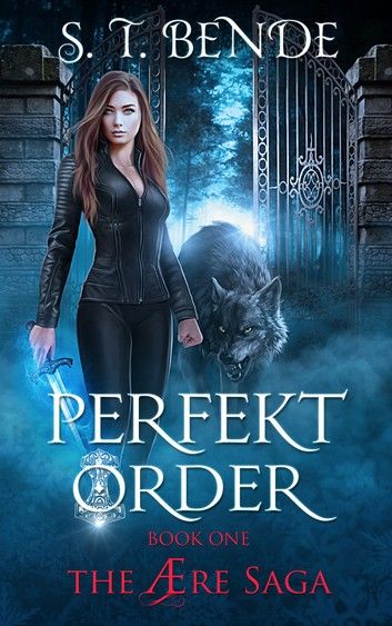 Perfekt Order (The Ære Saga Book 1)