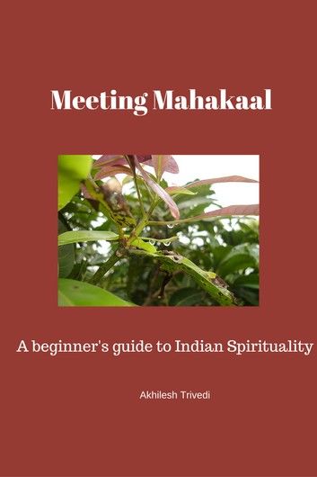 Meeting Mahakaal: A beginner\