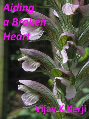 Aiding a Broken Heart: A Love Story
