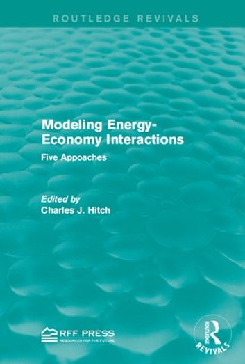 Modeling Energy-Economy Interactions