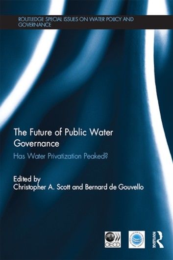 The Private Sector and Water Pricing in Efficient Urban Water Management