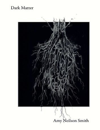 Dark Matter