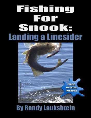 Fishing for Snook: Landing a Linesider
