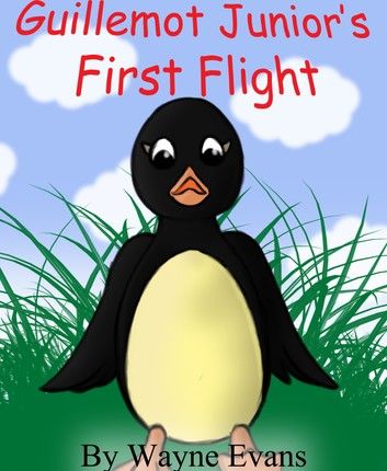 Guillemot Junior’s First Flight: A children\