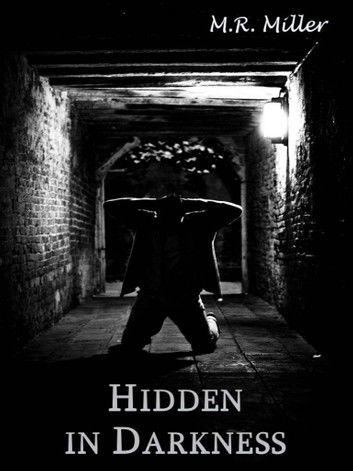 Hidden in Darkness (An Emily O\