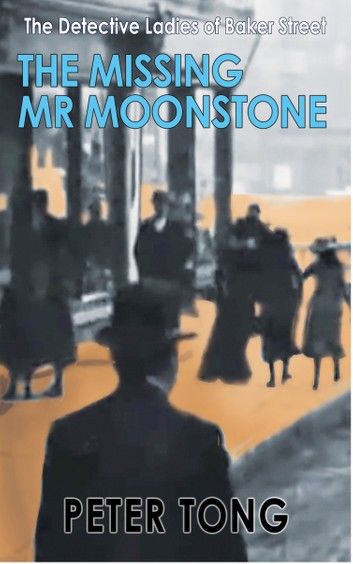 The Missing Mr Moonstone Mystery
