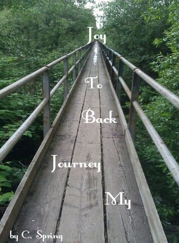 My Journey Back To Joy