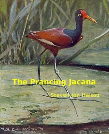 The Prancing Jacana