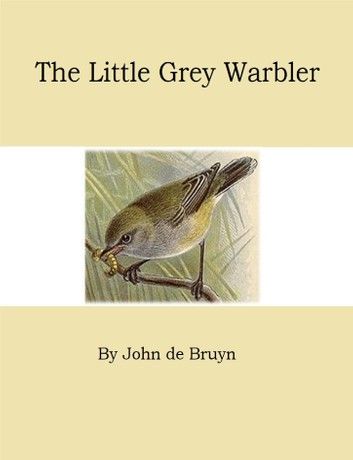 The Little Grey Warbler