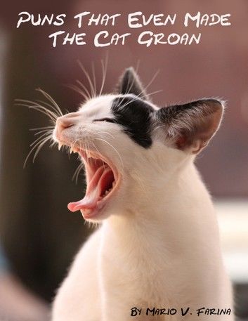 Puns That Even Made The Cat Groan