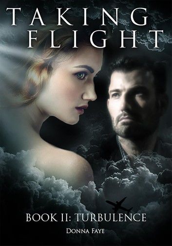 Taking Flight: Turbulence