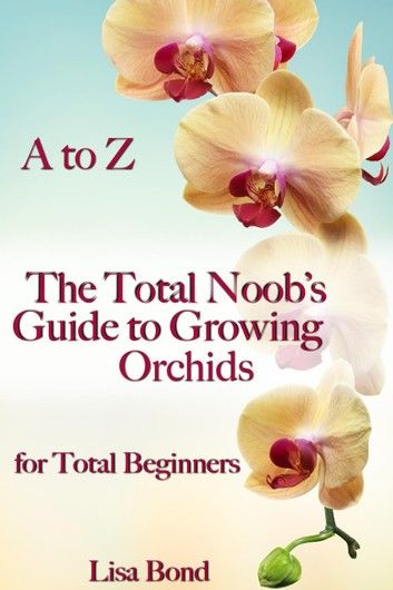 A to Z The Total Noob\