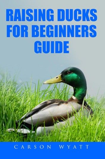 Raising Ducks for Beginner\