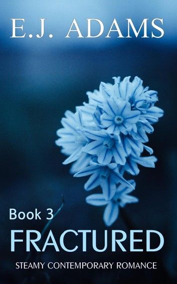 Fractured Book 3