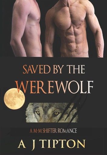 Saved by the Werewolf: A M-M Shifter Romance
