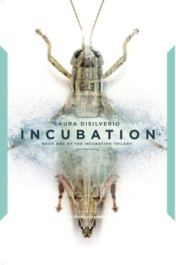 Incubation