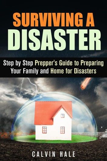 Surviving a Disaster: Step by Step Prepper\