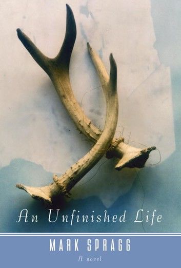 An Unfinished Life