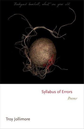 Syllabus of Errors