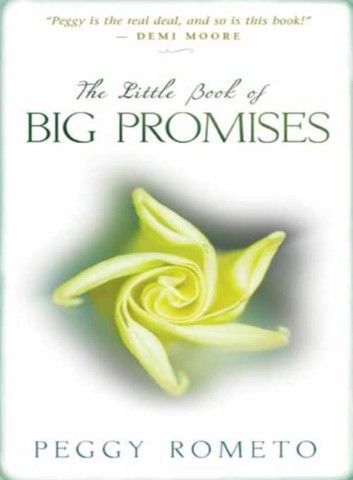 The Little Book of Big Promises