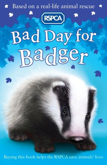 Bad Day for Badger