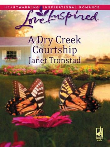 A Dry Creek Courtship (Dry Creek, Book 11) (Mills & Boon Love Inspired)