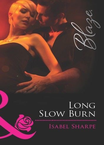 Long Slow Burn (Checking E-Males, Book 2) (Mills & Boon Blaze)