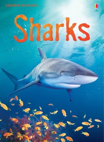 Sharks: For tablet devices: For tablet devices