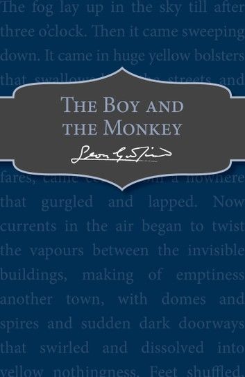 The Boy and the Monkey