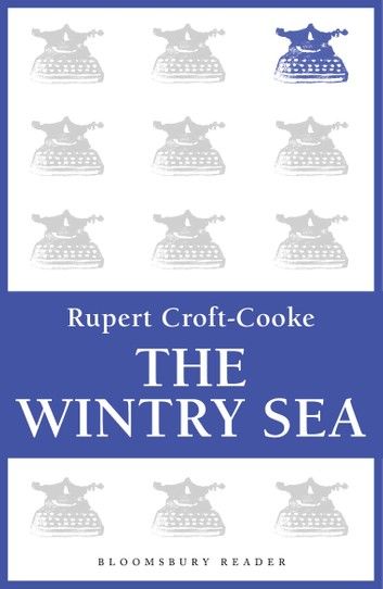 The Wintry Sea