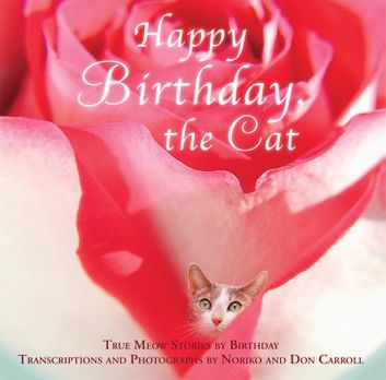 Happy Birthday, the Cat