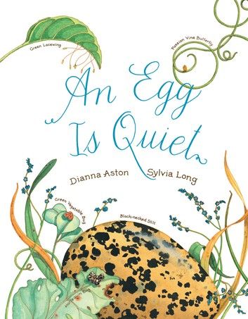 An Egg Is Quiet