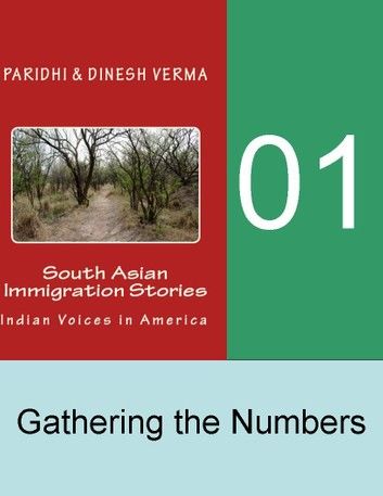 Indian Immigration Stories 01: Gathering the Numbers