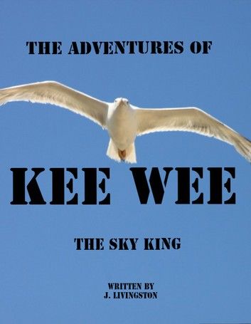 The Adventures Of Kee-Wee (The Sky King)