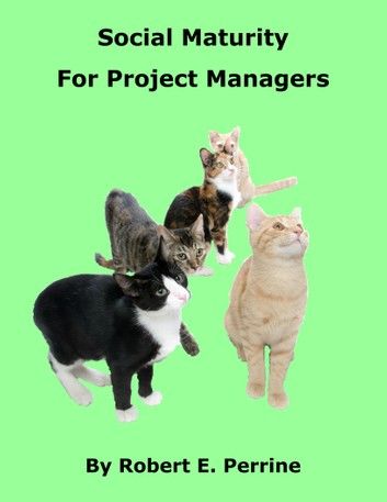 Social Maturity for Project Managers