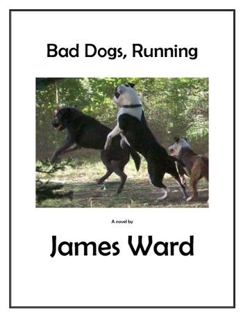 Bad Dogs, Running