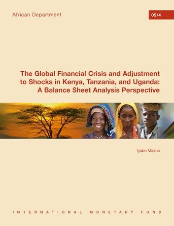 The Global Financial Crisis and Adjustment to Shocks in Kenya, Tanzania, and Uganda: A Balance Sheet Analysis Perspective