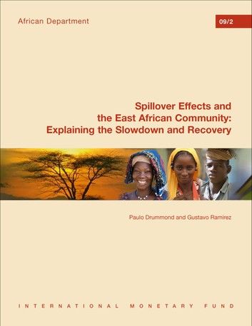 Spillover Effects and the East African Community: Explaining the Slowdown and the Recovery