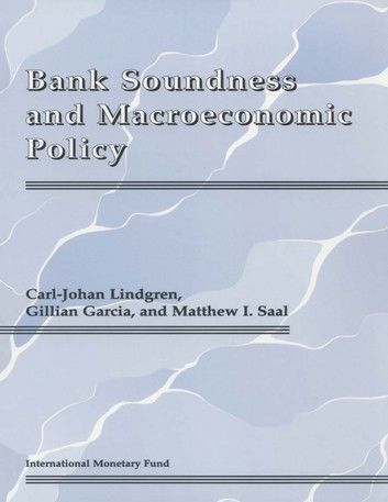 Bank Soundness and Macroeconomic Policy