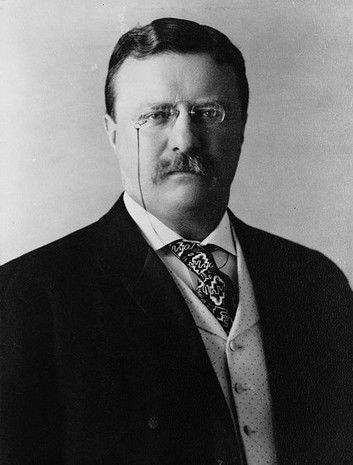 Theodore Roosevelt and His Time: a Chronicle of the Progressive Movement