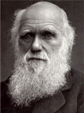 The Life and Letters of Charles Darwin, followed by More Letters of Charles Darwin, all four volumes in a single file